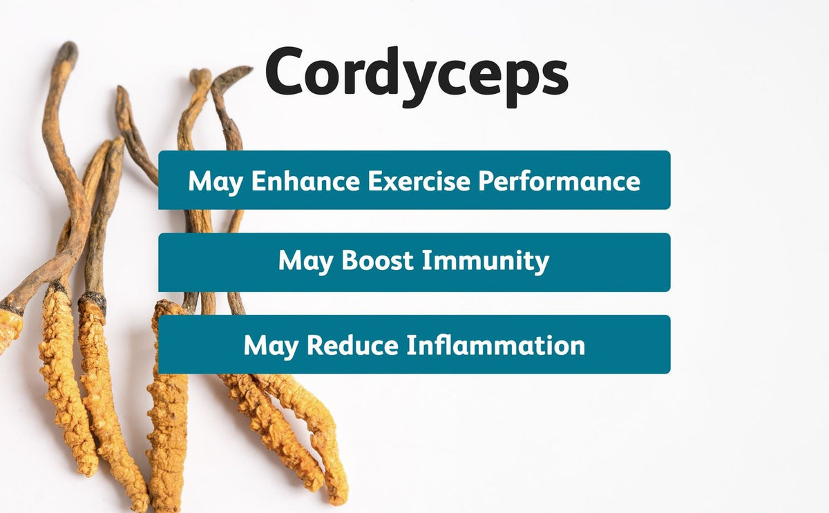 Revolutionary Cordyceps, What are they?