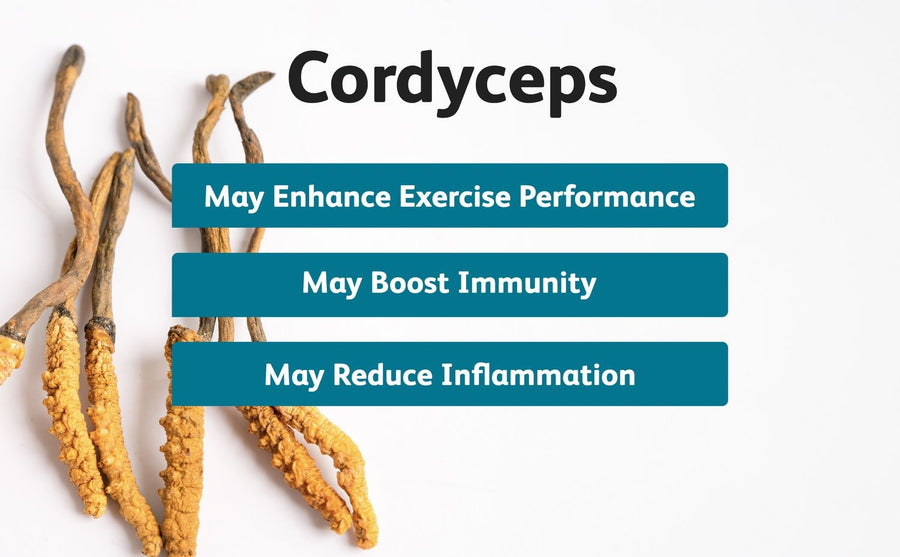 Revolutionary Cordyceps, What are they?
