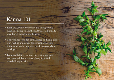 Key Benefits of Kanna