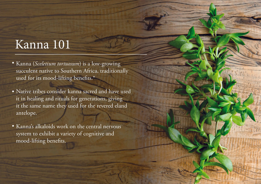 Key Benefits of Kanna